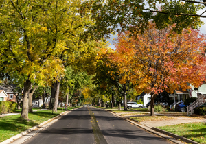 Fall Street Image Button